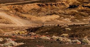 【早报】今晚对阵乌兹别克斯坦！U23小伙子们加